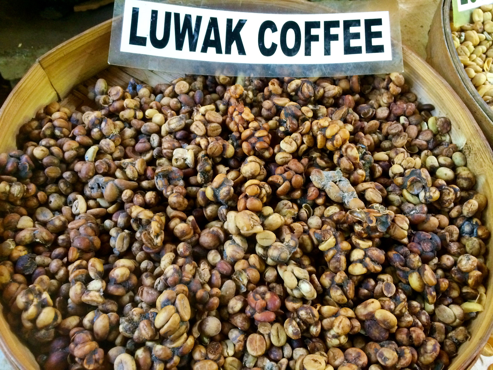 Luwak Coffee