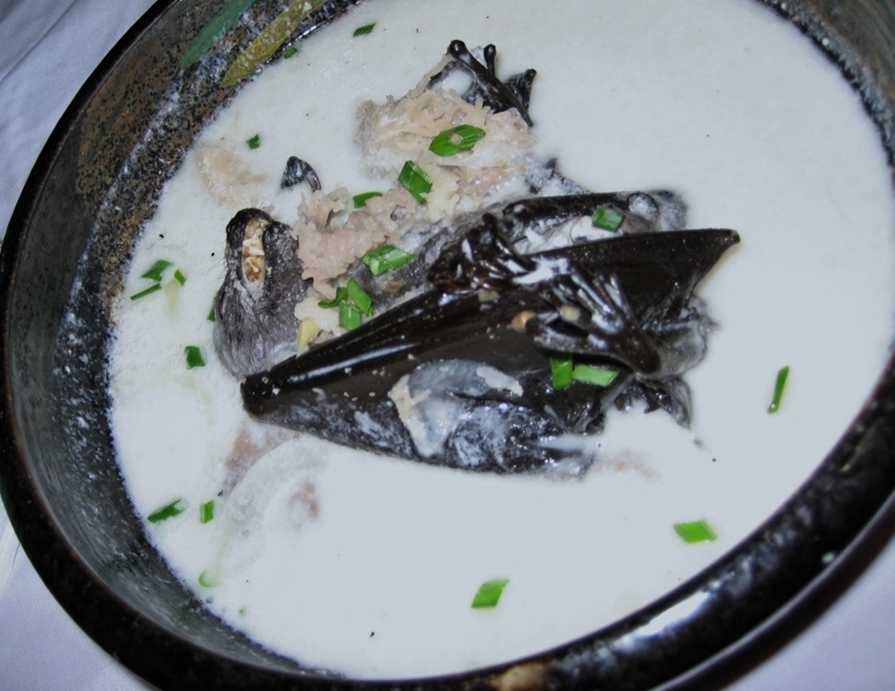 Fruitbat stew/soup