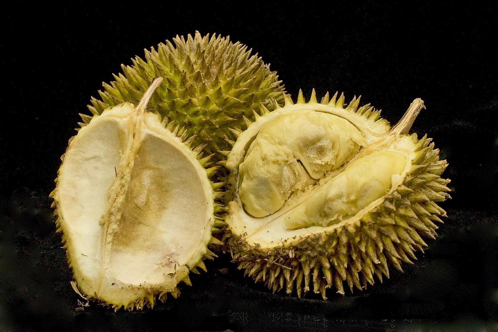 Durian - King of Fruits
