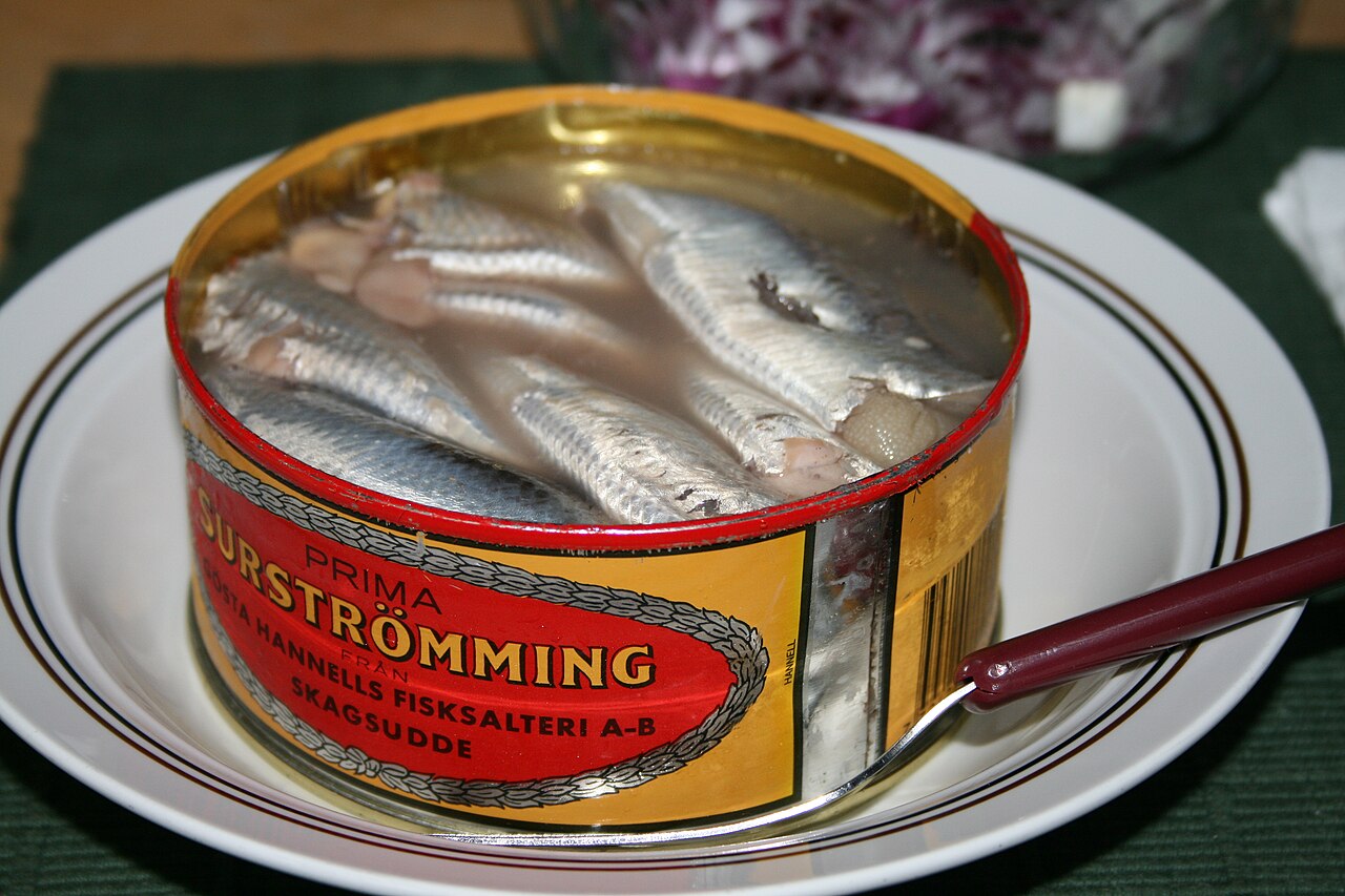 Serving Surströmming fish