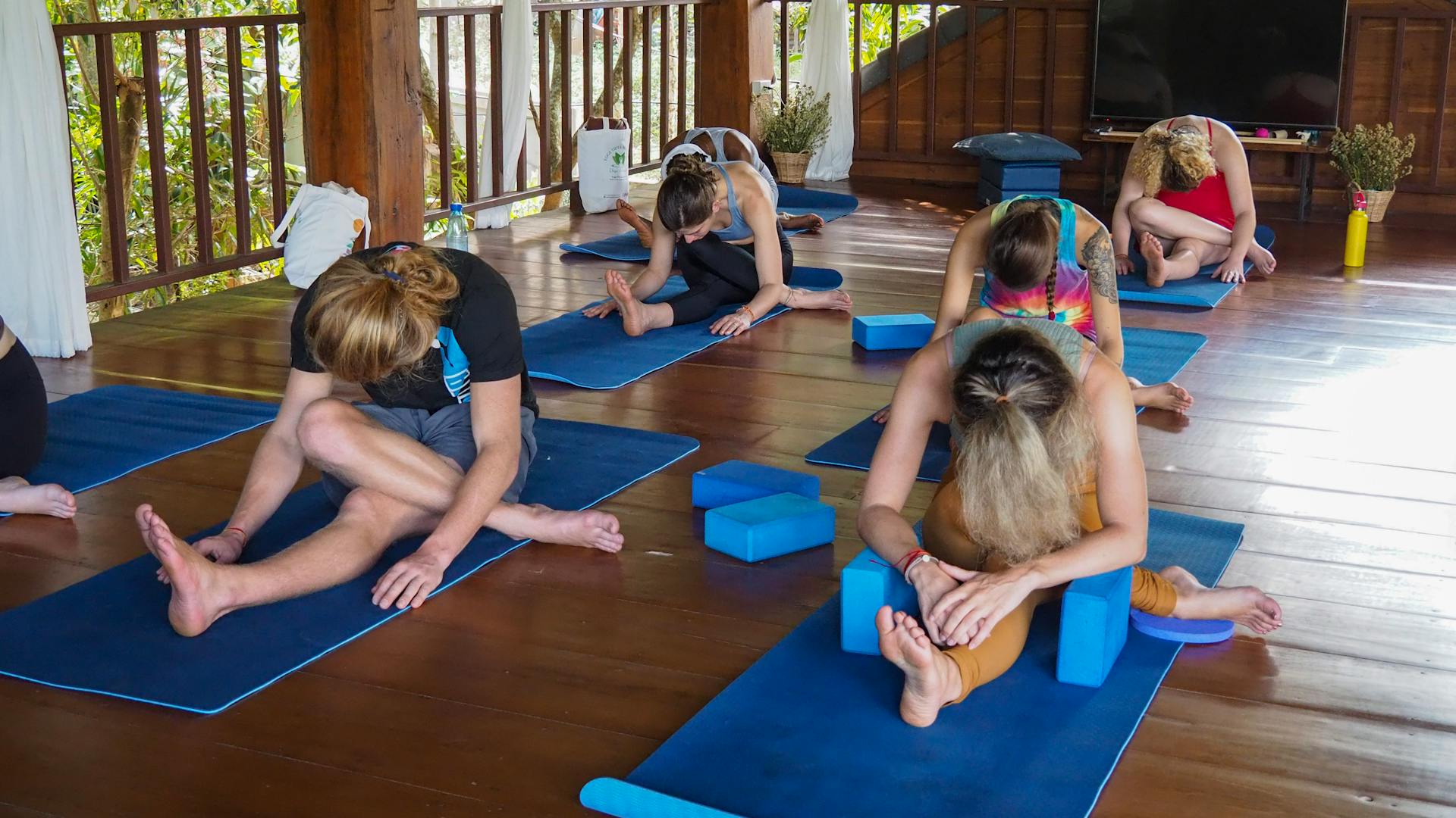 Group of People Practicing Yoga.