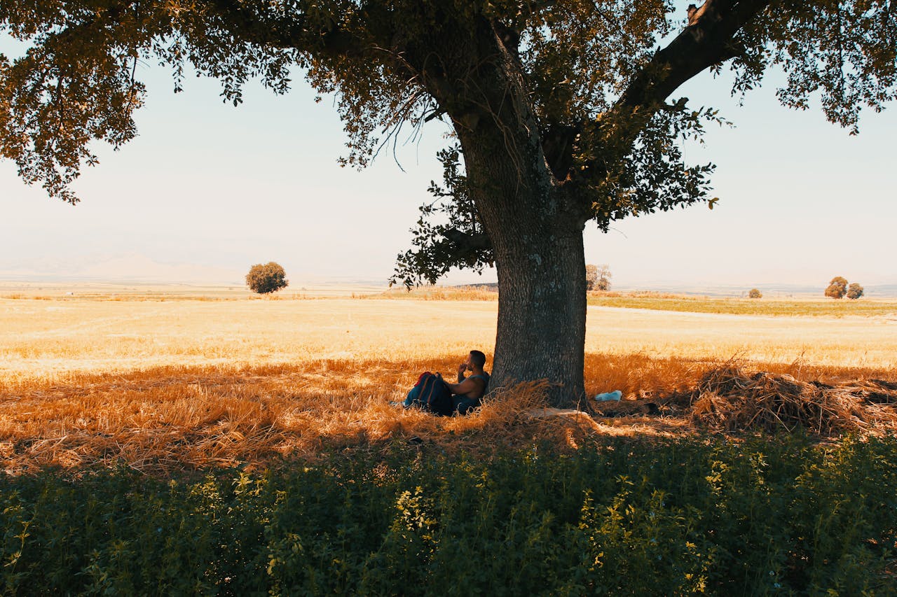 A Man Sitting Under the Tree