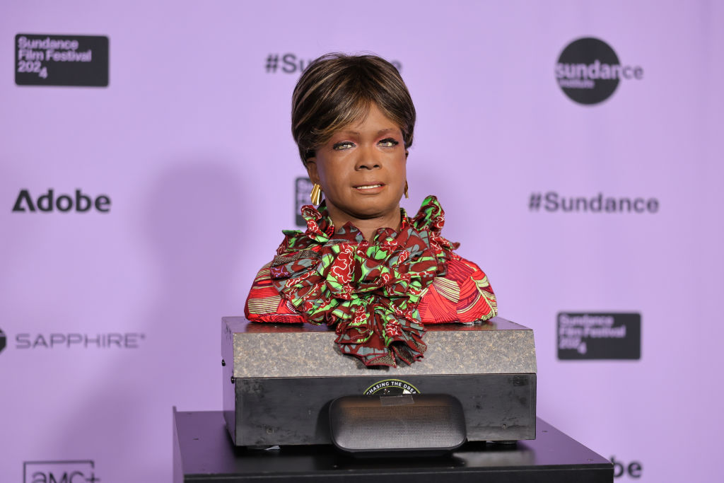 image of robot Bina48