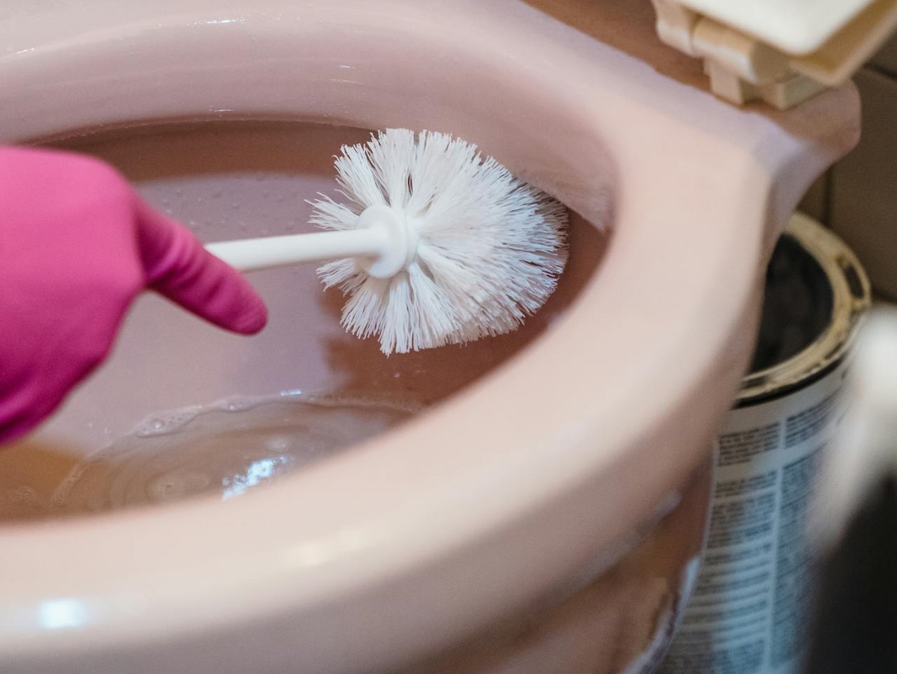 Using a Brush to Clean the Toilet