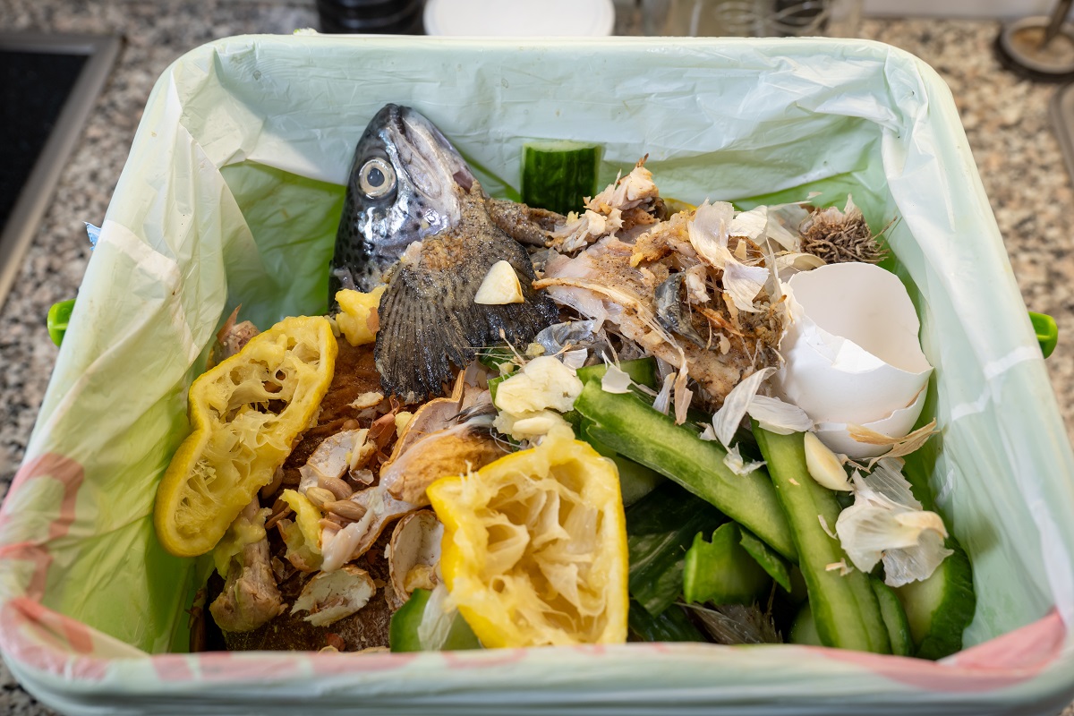 Cooking food, meat and vegetable leftovers in a plastic container.