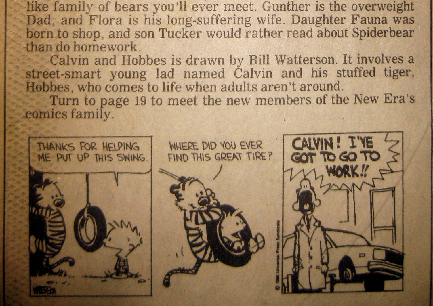 Lancaster New Era Newspaper Announcing Comic Strip - Calvin and Hobbes