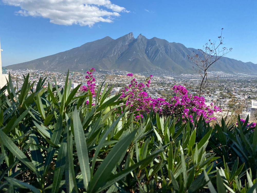 Landscape at monterrey Nuevo León México