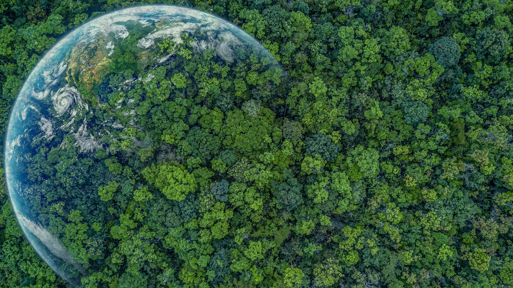 Aerial top view green forest with earth