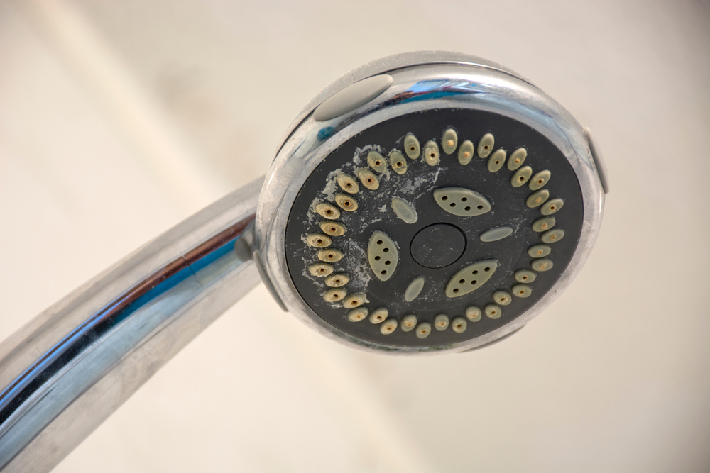 Close Up Photo of Dirty chrome shower head with limescale