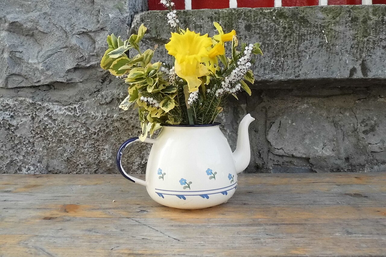 Tea Pot/Flower Pot