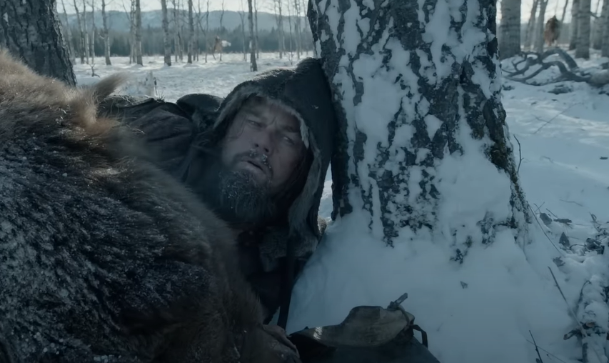 The Revenant (2015)