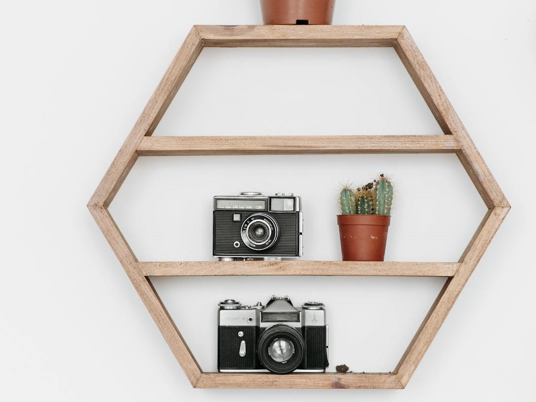 Vintage Cameras and Potted Plants on Wooden Shelves