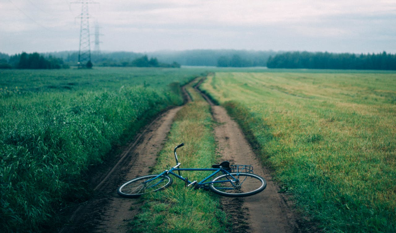 Blue Commuter Bike on Green Grass