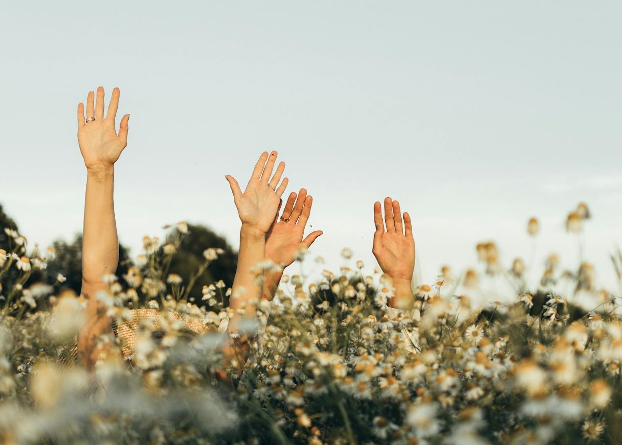 A Couple Playing Hide and Seek in the Flower Field