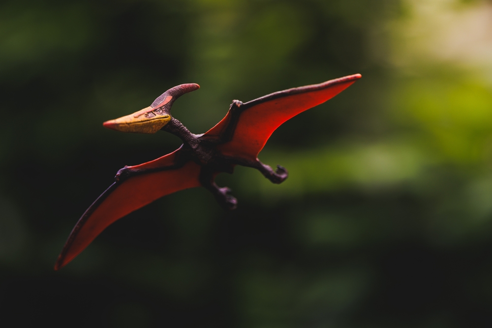 Pterodactyl, prehistoric dinosaur model photo