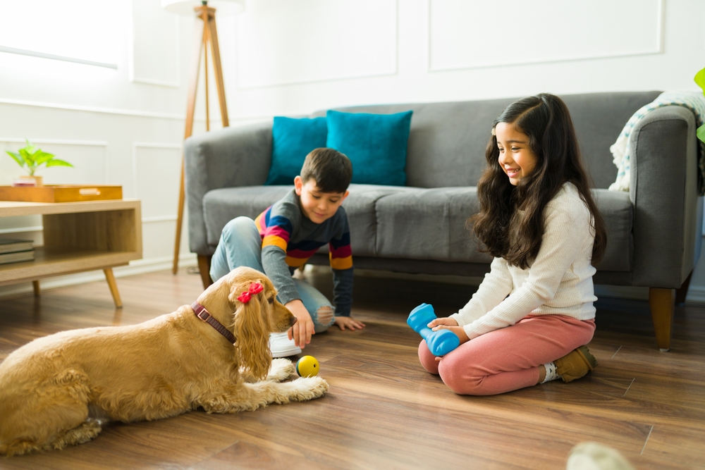 Young kids playing with their golden cocker spaniel dog