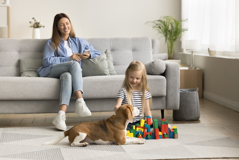Happy little kid playing with cute beagle dog and stacking building blocks on warm floor