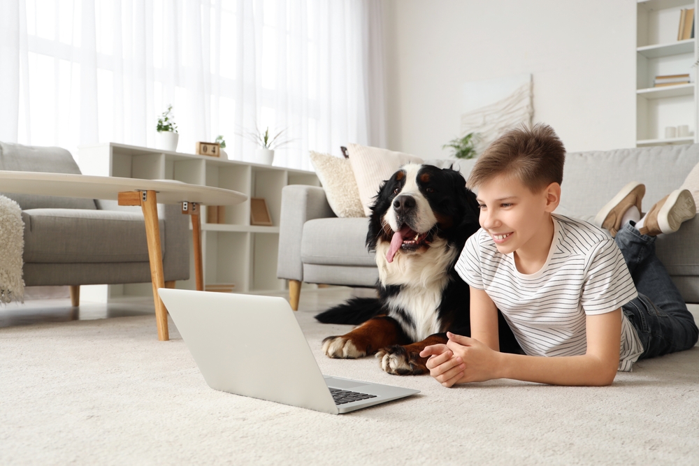 Little boy with Bernese mountain dog watching cartoons
