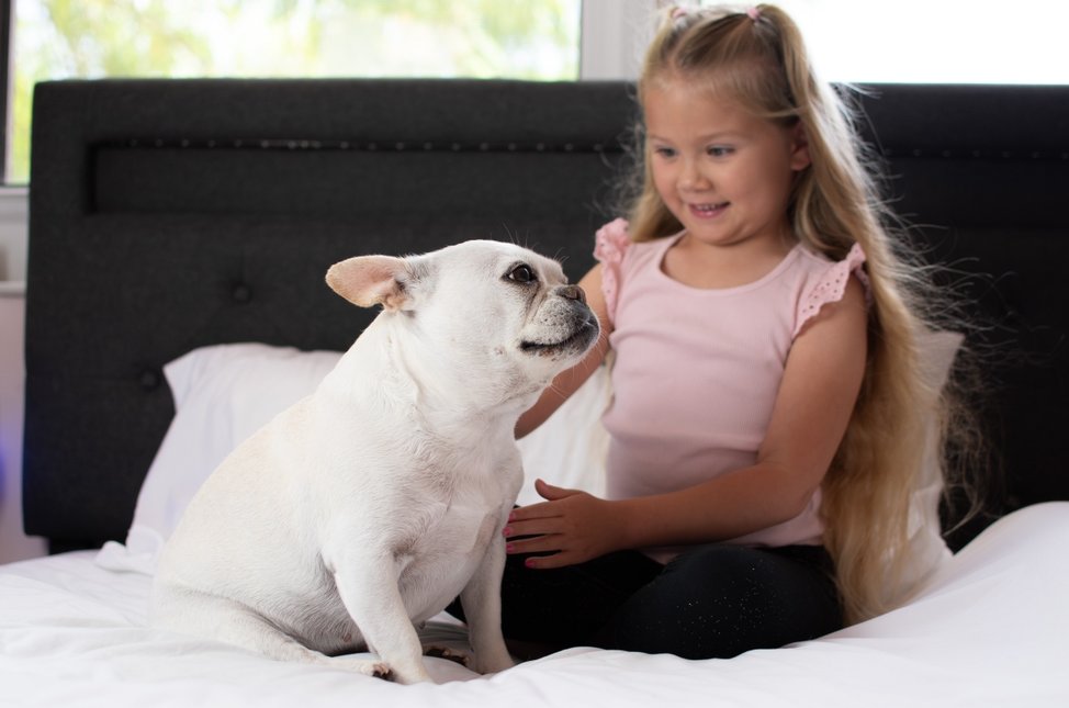 Child playing with the dog on the bed.