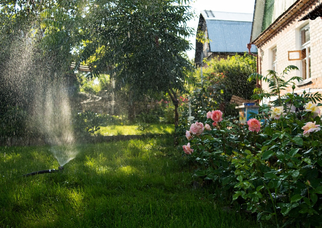 a sprinkler is spraying water on a lawn