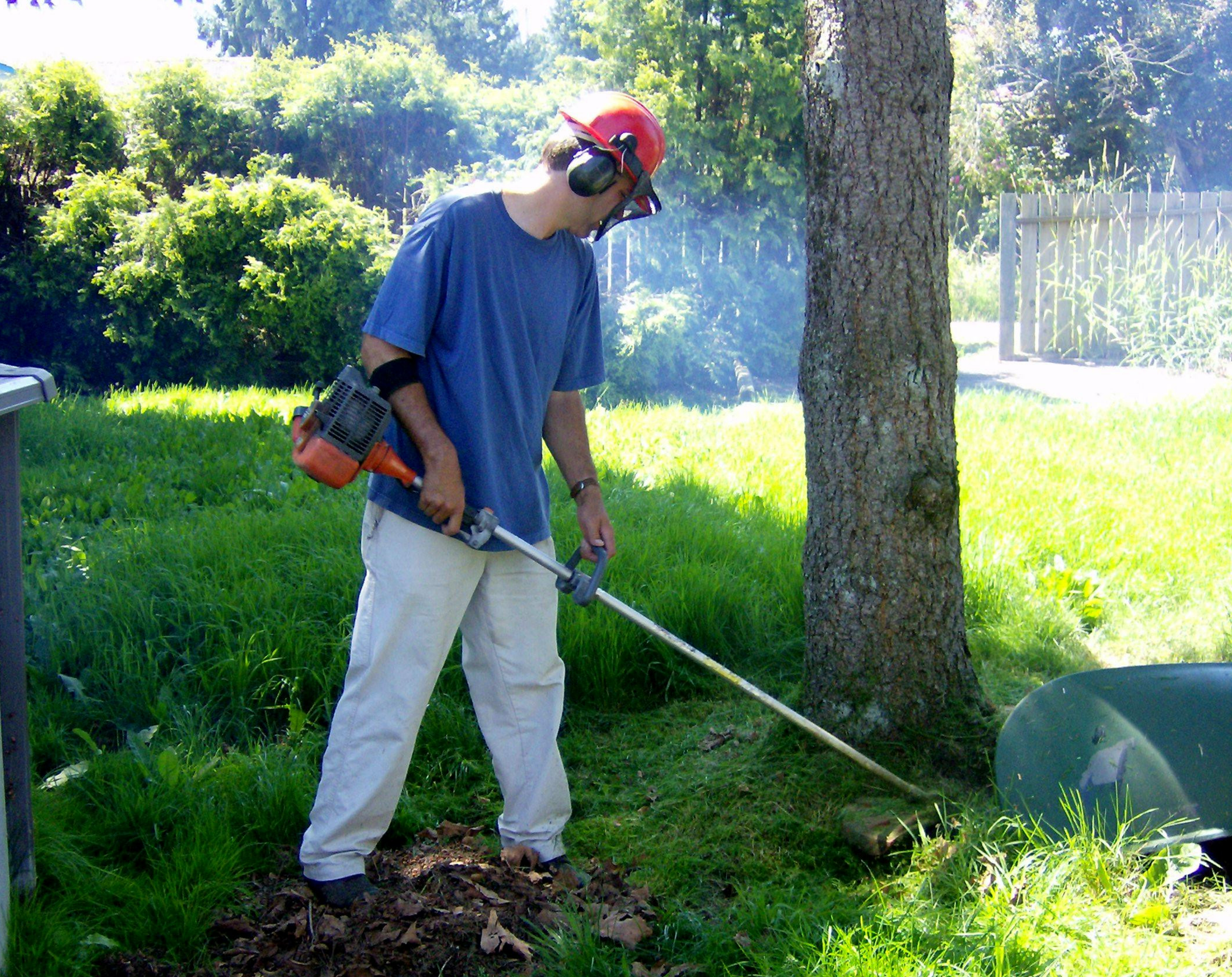 File:Man weedeating.jpg