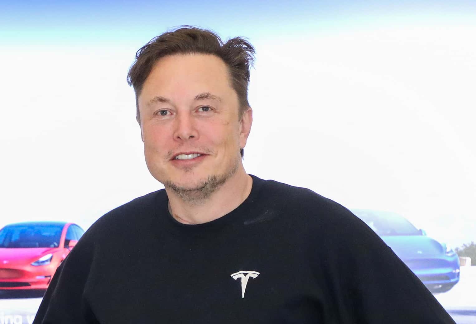 Elon Musk facts