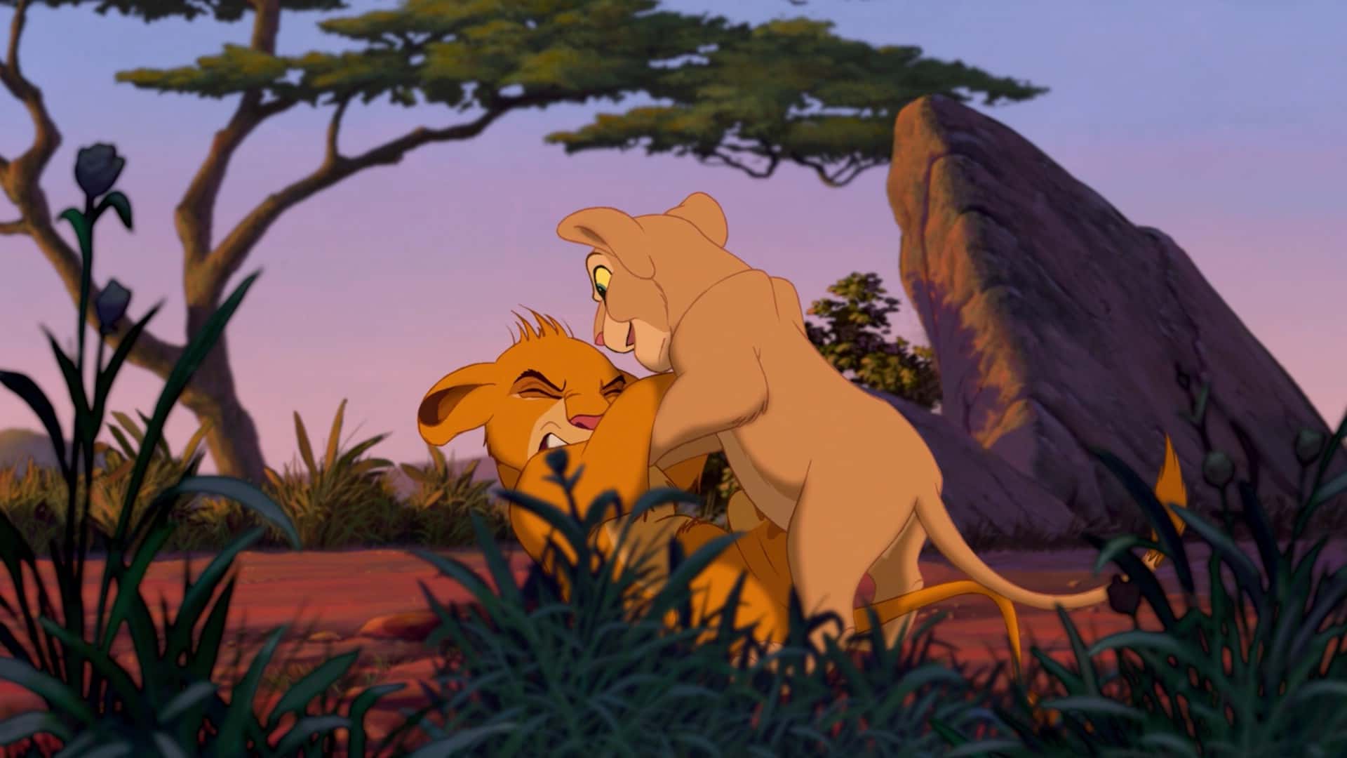 42 Wild Facts about the Lion King.