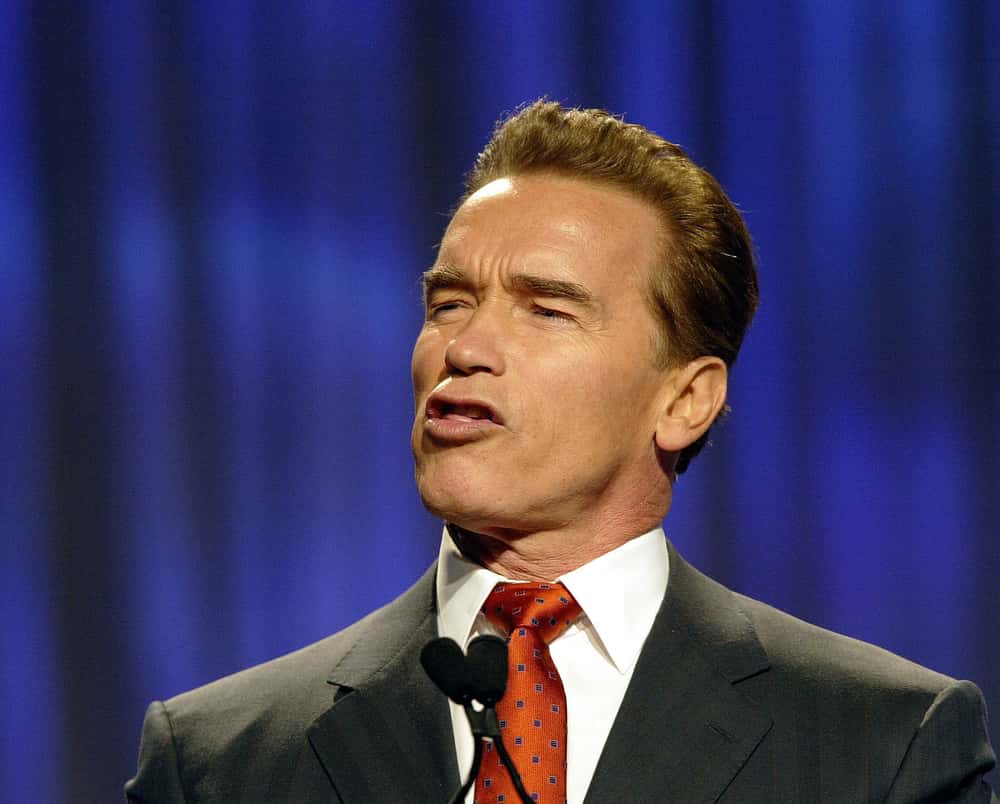 Arnold Schwarzenegger facts