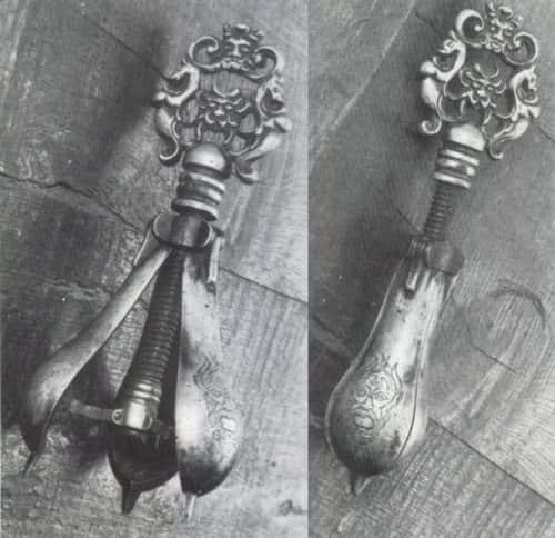 Ancient Torture Facts - Pear of Anguish