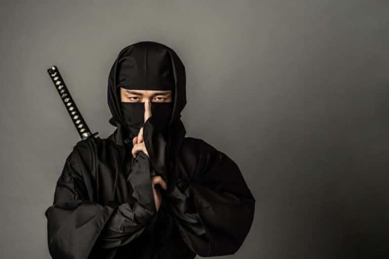 36 Sneaky Facts About Ninjas Japan #39 s Hidden Warriors