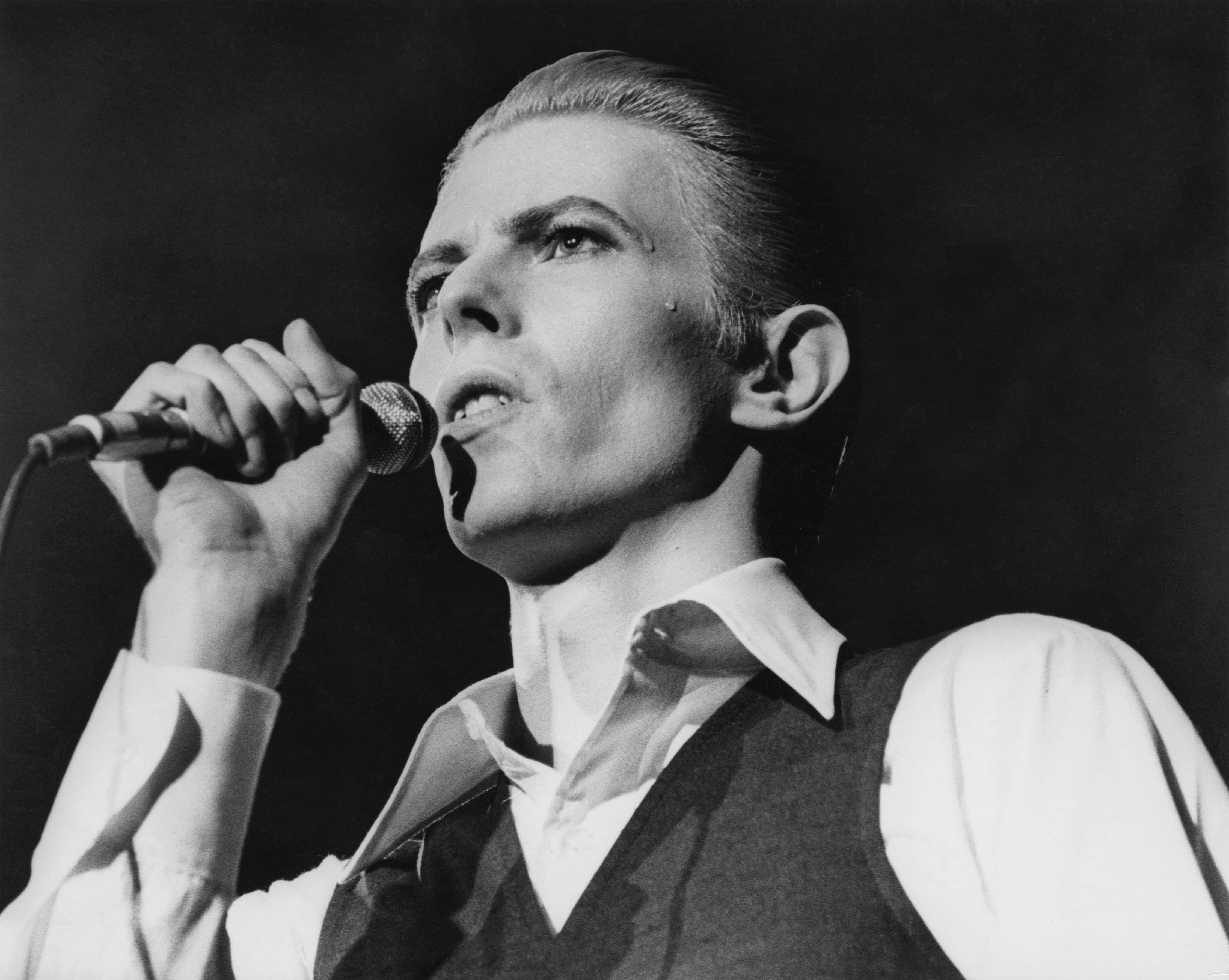 David Bowie Facts