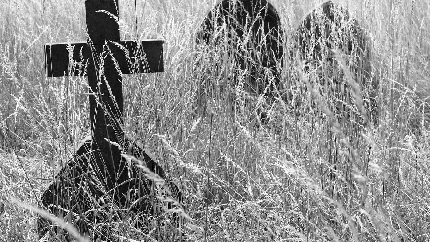 40 Bubonic Facts About The Black Death