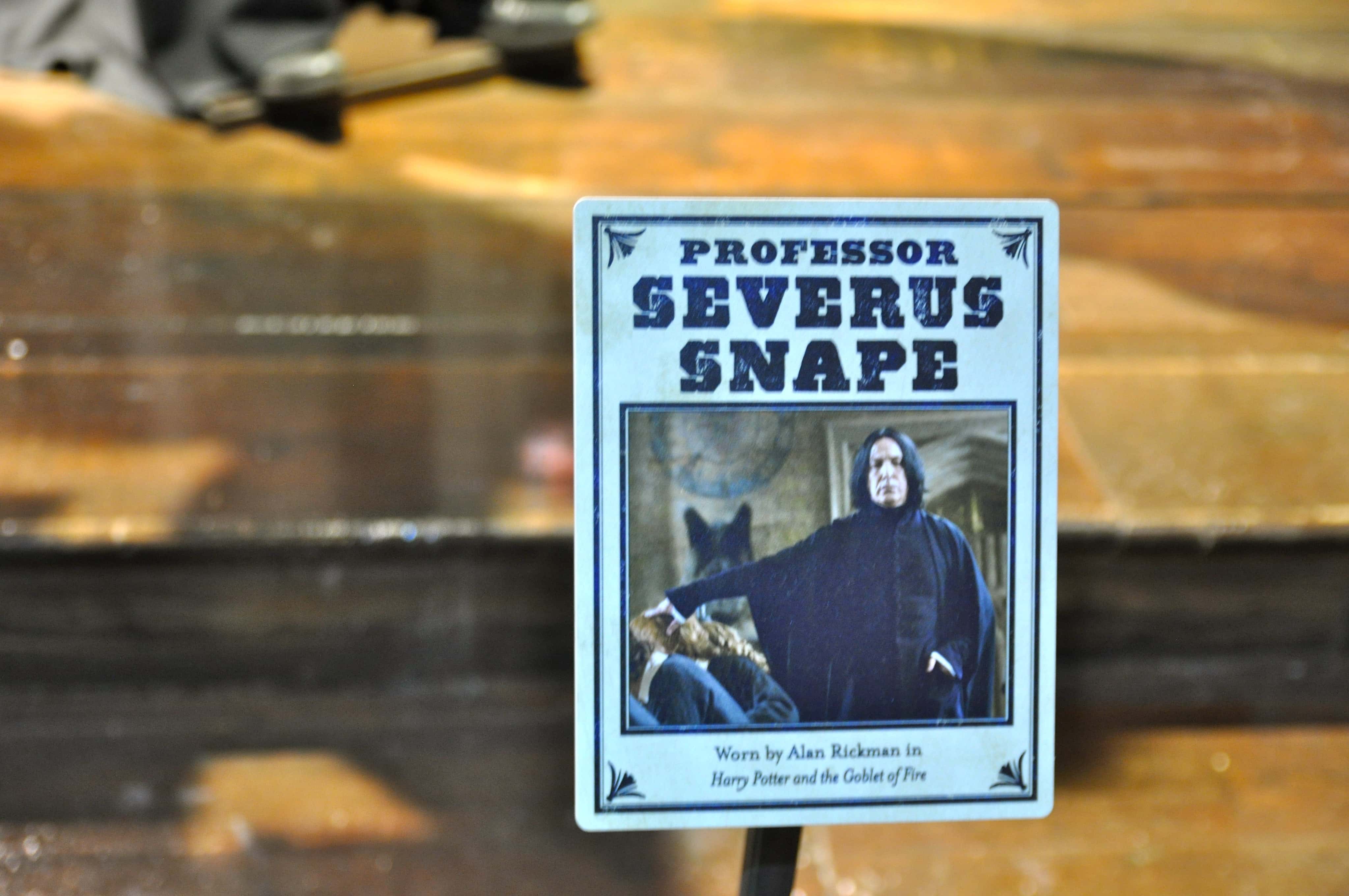 Hogwarts Professors Facts