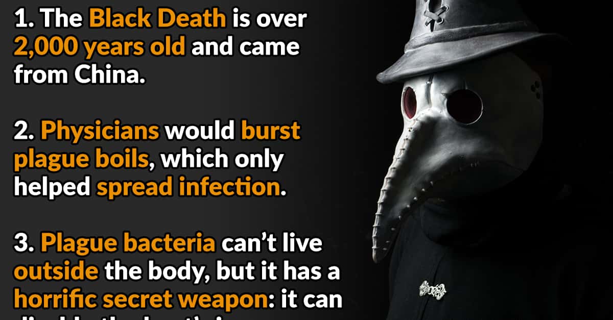 40-bubonic-facts-about-the-black-death