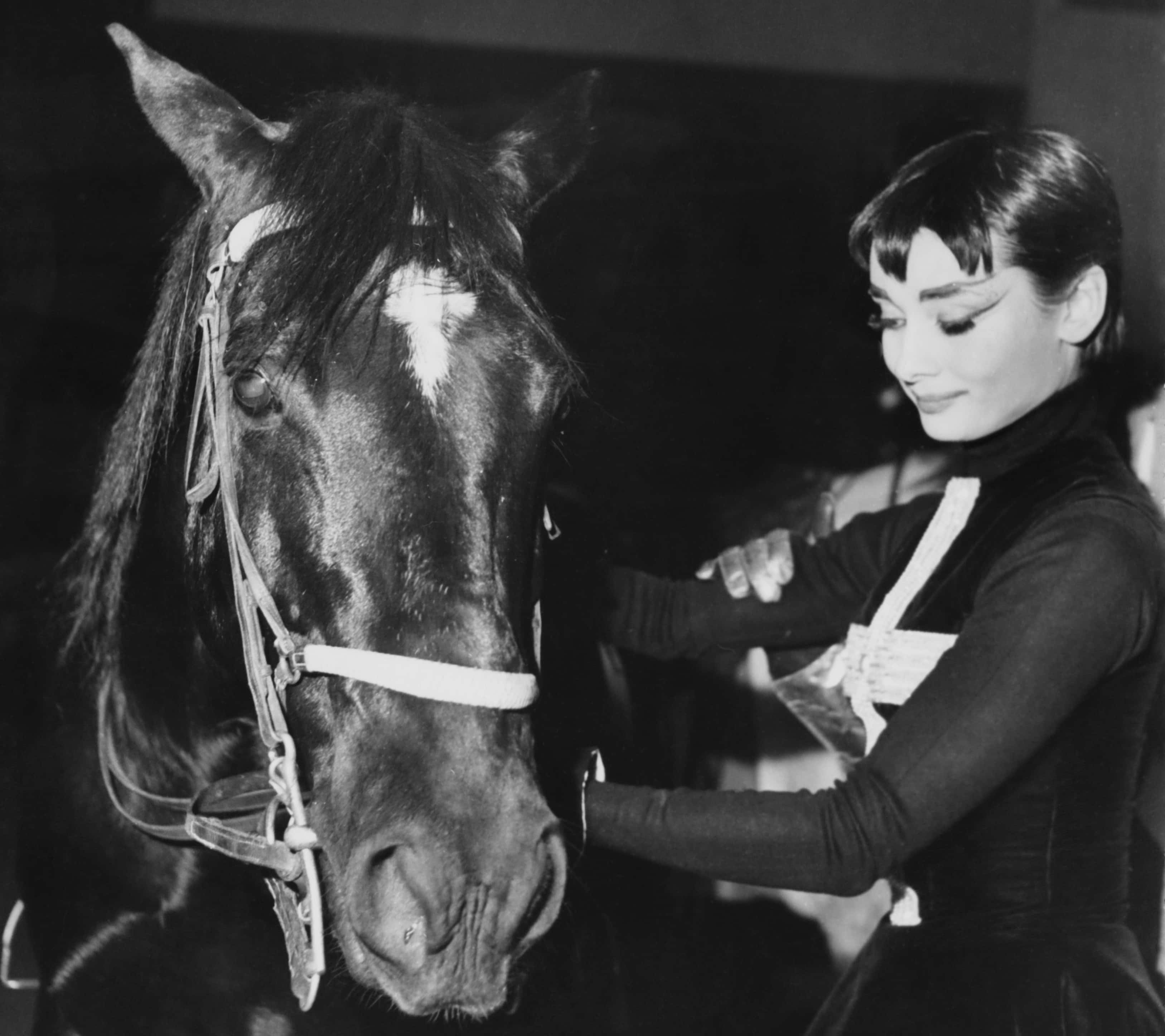 Audrey Hepburn Facts