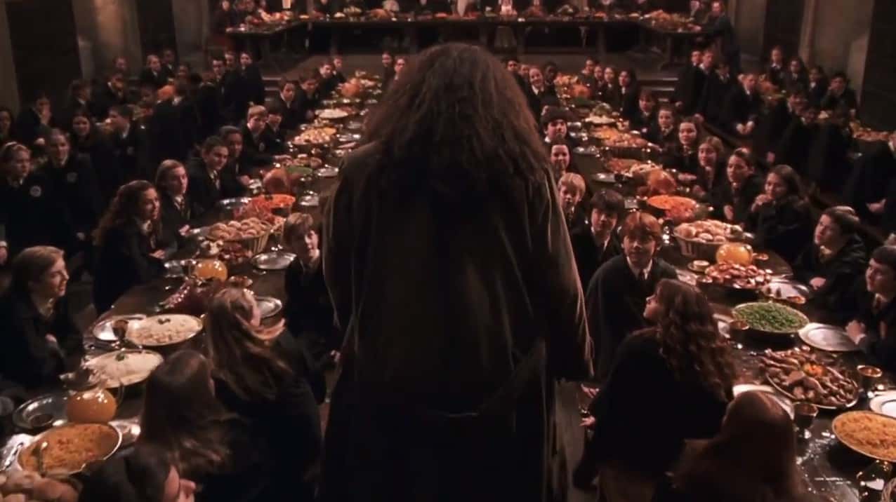 Rubeus Hagrid Facts