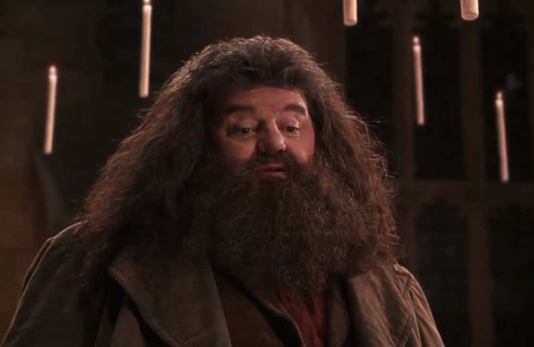 Rubeus Hagrid Facts