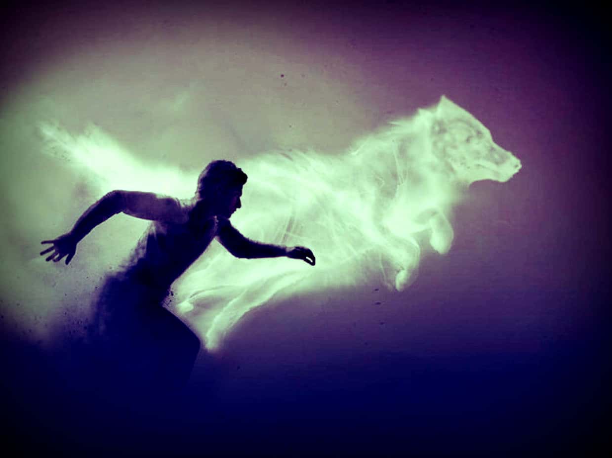 24 Marauding Facts About Remus Lupin