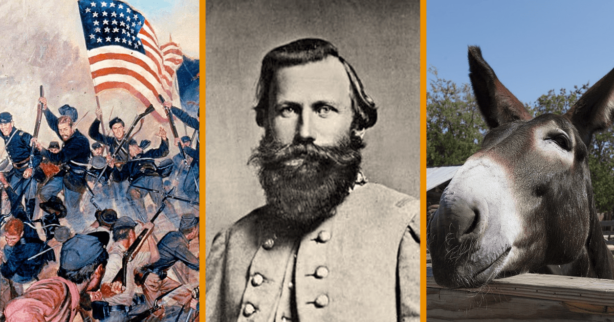 Hilarious Historical Facts To Brighten Up Your Next History Lesson