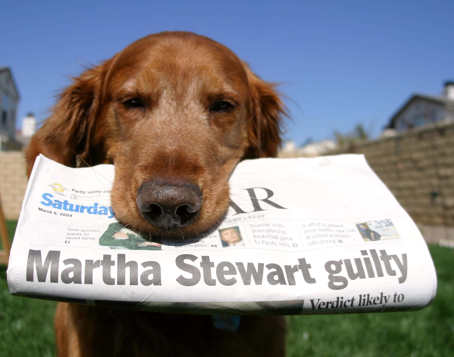 Martha Stewart Facts