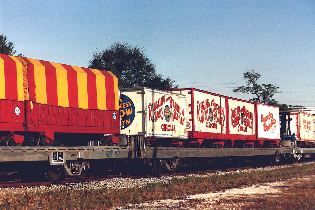 Circus Facts