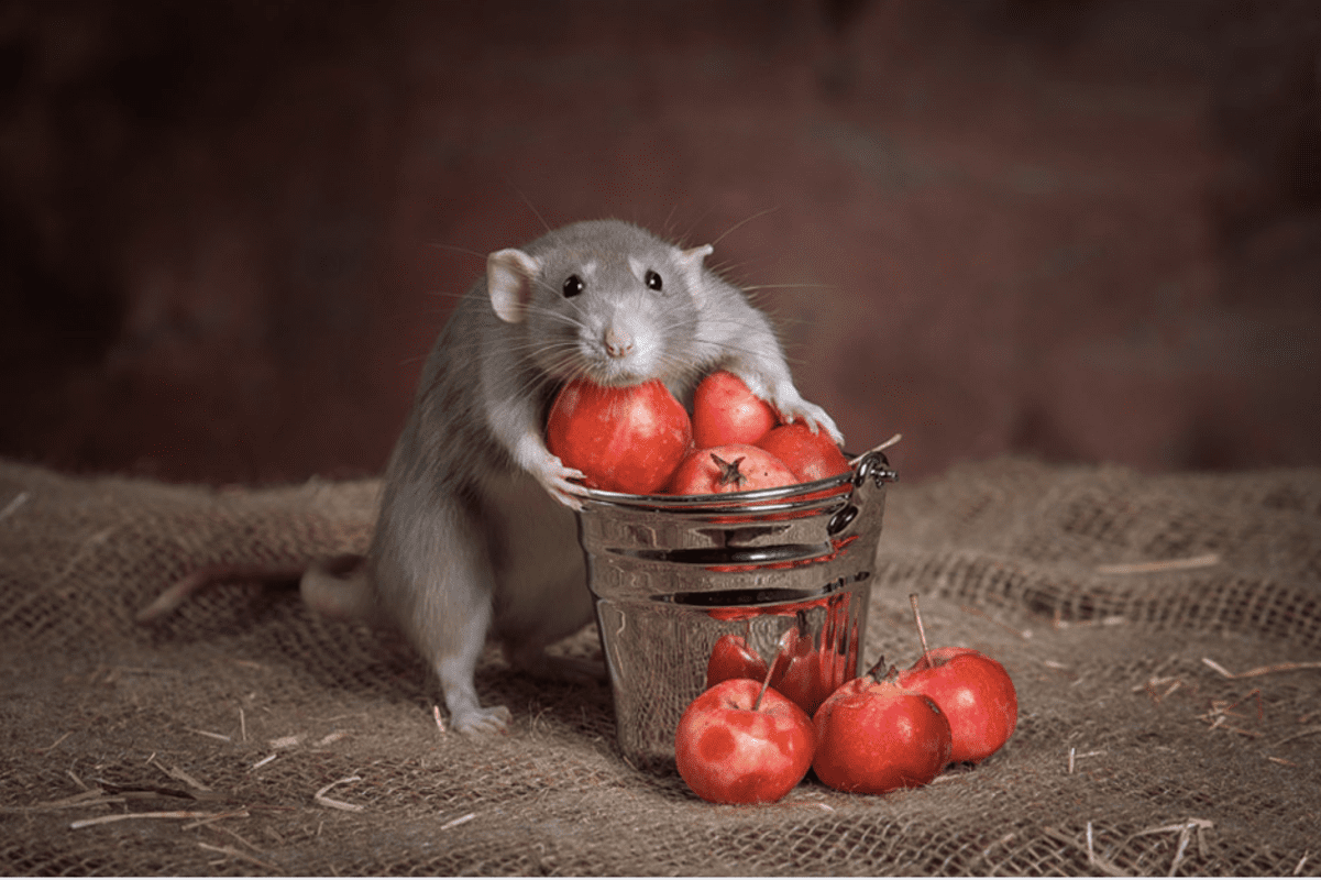 41 Horrifying Facts About Hoarders