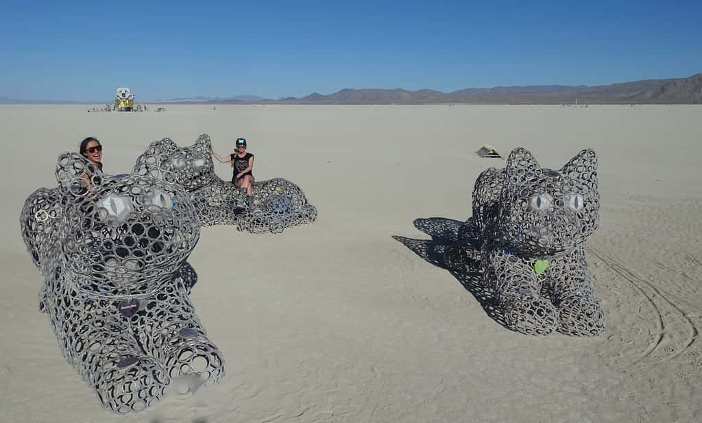 Burning Man Facts