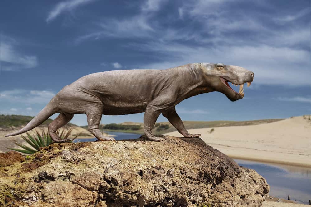 Prehistoric Beasts Facts