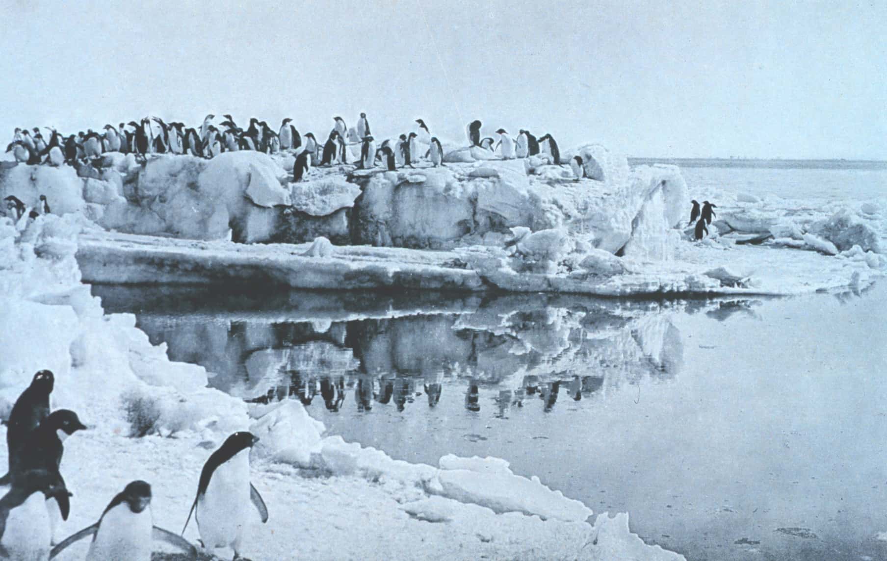 Polar Exploration facts