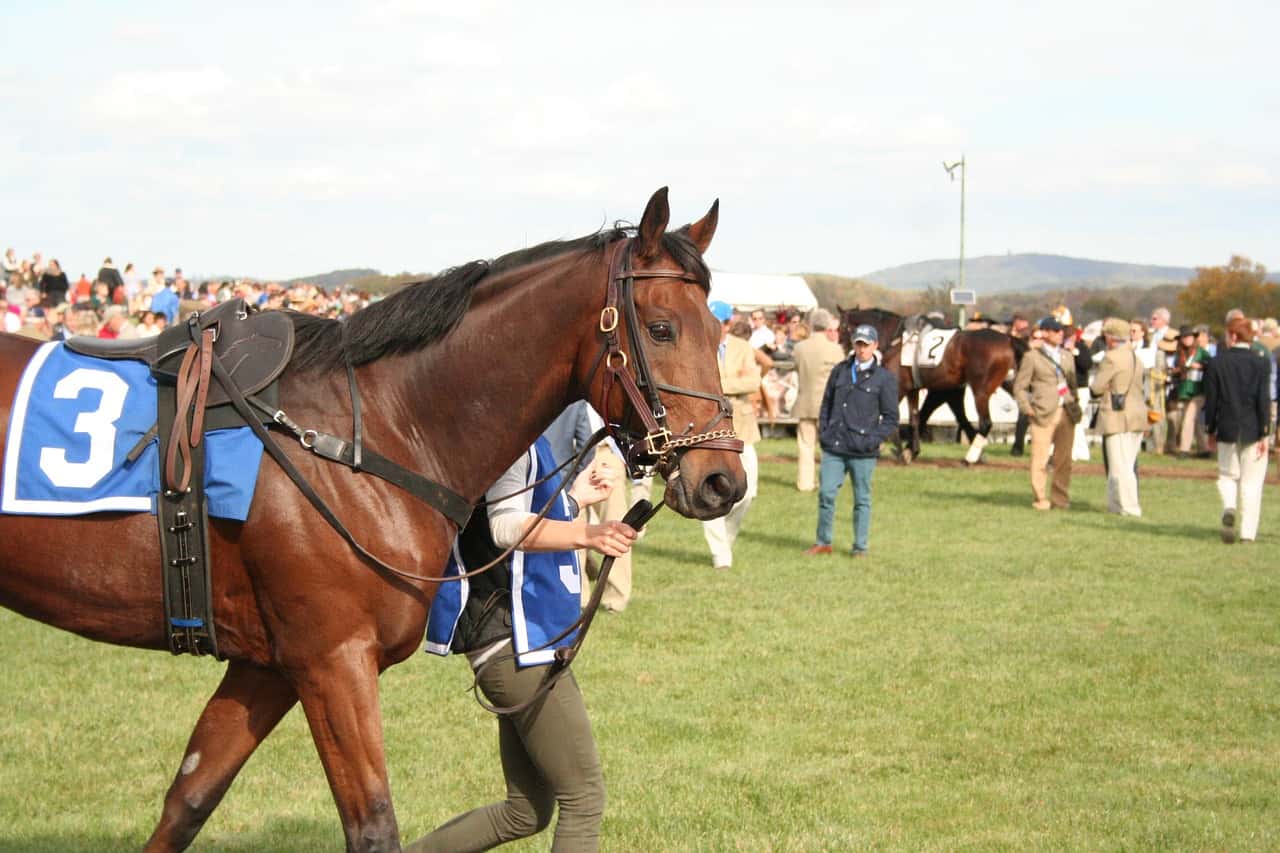 42 LittleKnown Facts About Horse Racing