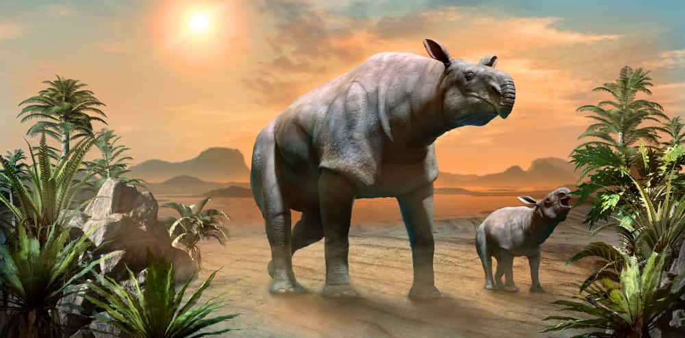 Prehistoric Beasts Facts