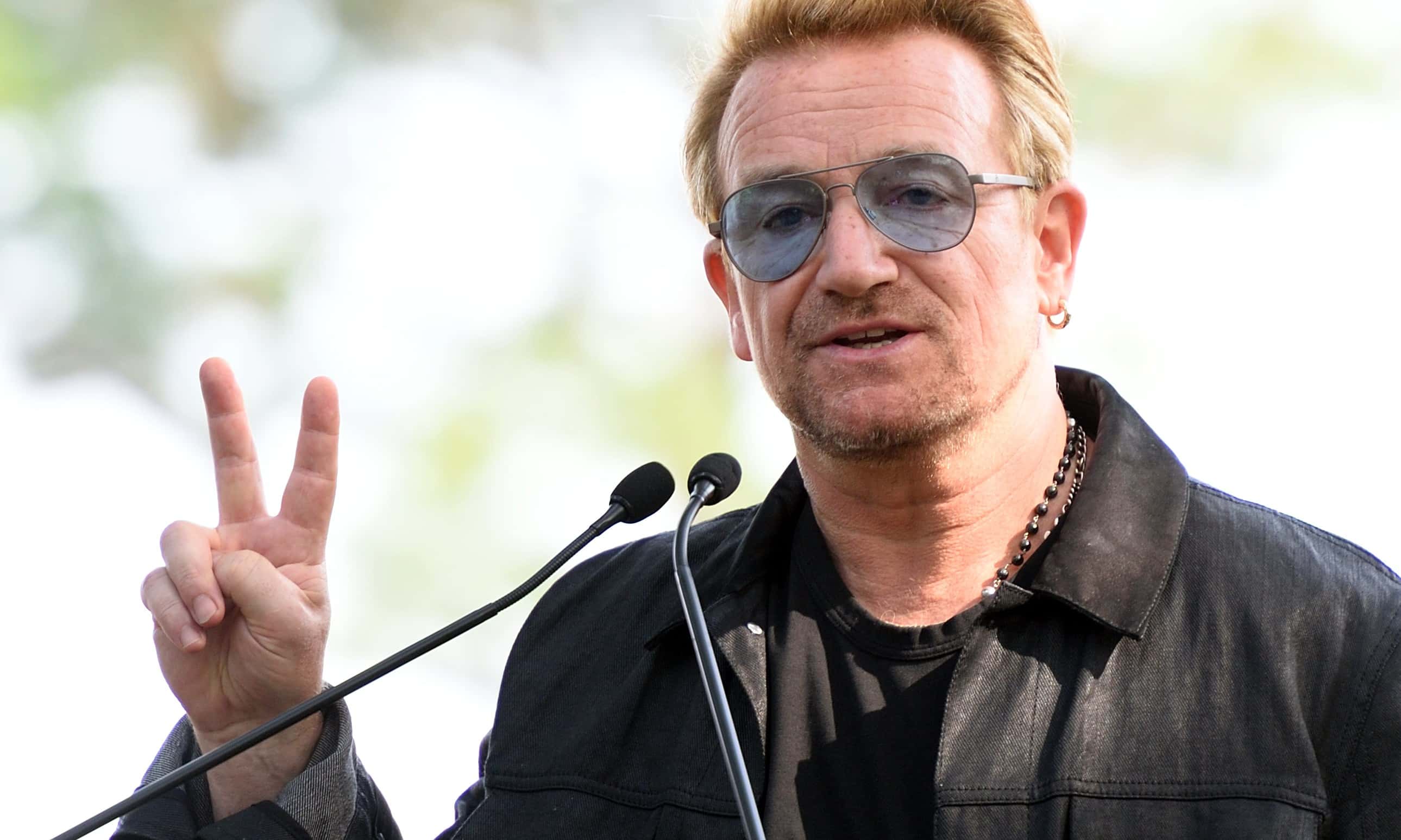 Bono facts 