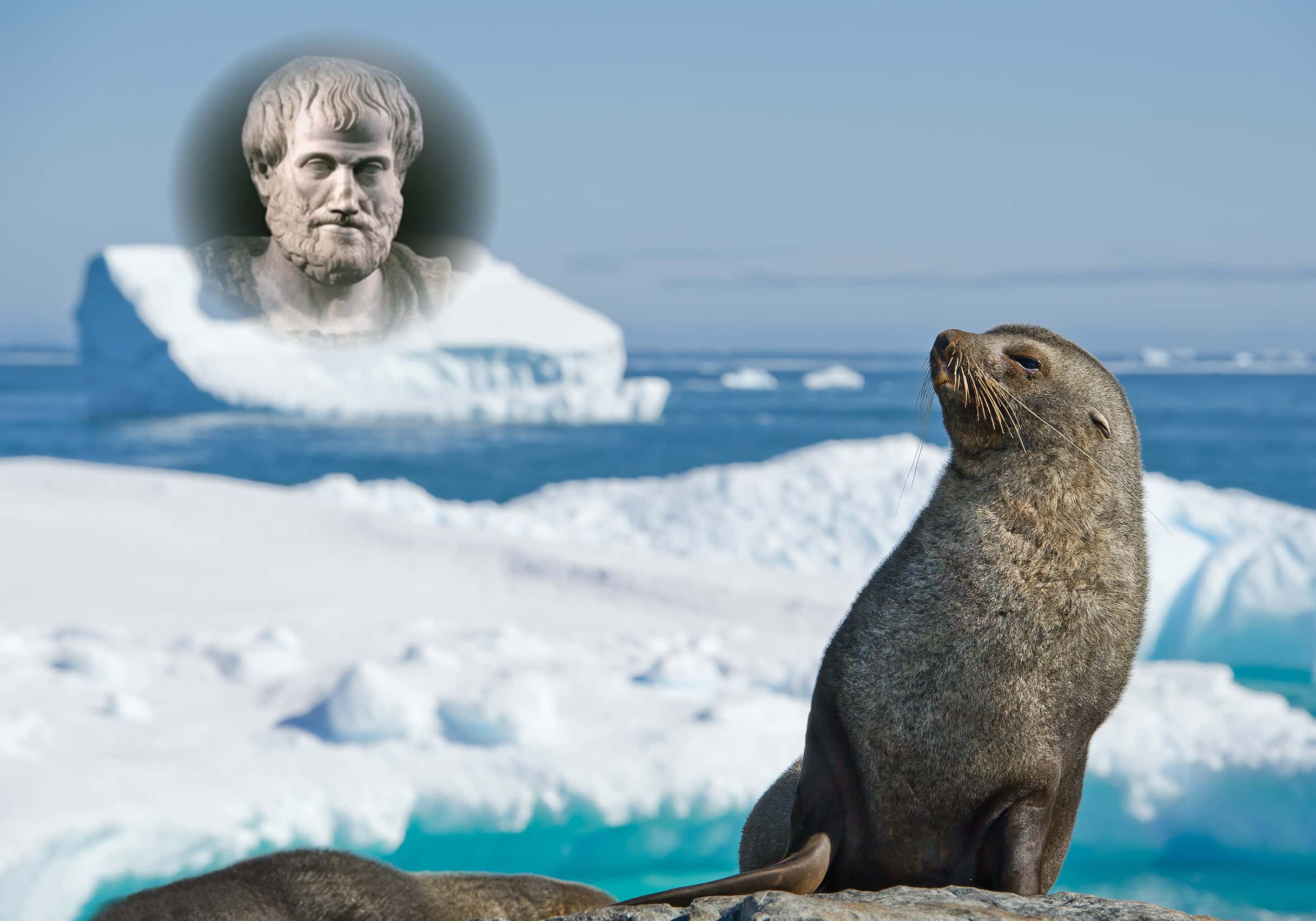 42 Ancient Facts About Aristotle