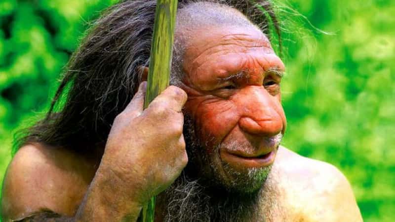 Prehistoric Humans facts